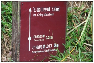 七星山之秋 - 1
