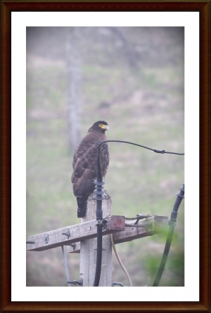 用行動支持論壇 ---大雪山---1
