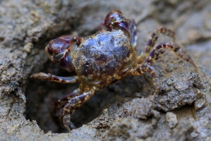 你有多久沒來看我了?