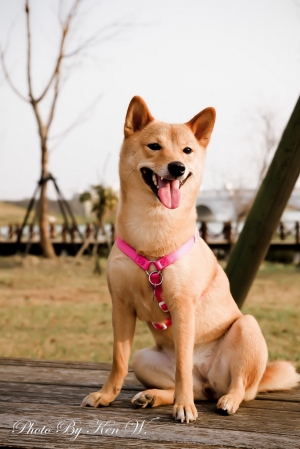台南都會公園"財妹"外拍