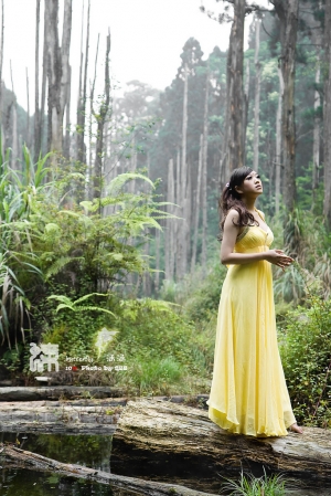 ～＊忘憂花蝴蝶 涵涵＊～