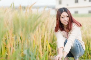 觀麥樂