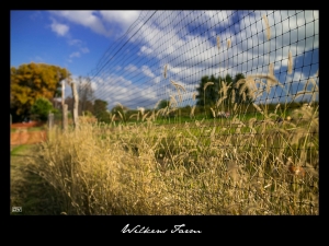 ::: NY Wilkens Farm 紐約農場採蘋果 by Mini-DV :::