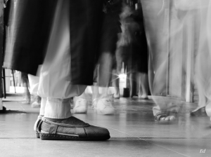 我觀景窗內的主角