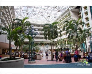 ::: Orlando 2013 奧蘭多印象 by DV :::