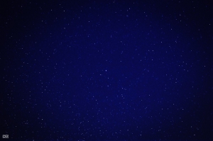 ::: Twinkle Twinkle Little Stars  閃閃惹人愛  by DV :::