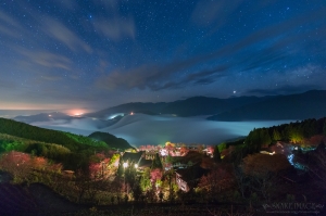 琉璃夜櫻