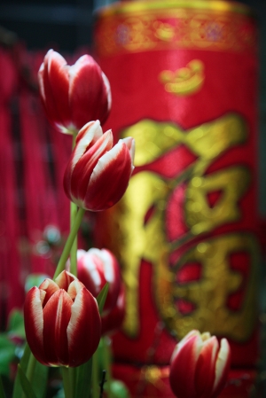 心花盛開 - 雜工