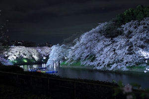 2015東京和郊區自助旅行 (吉祥寺 千島之淵) DAY6 下