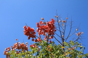 鶯歌陶瓷博物館