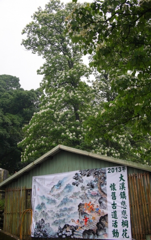 雨後的賞桐賞螢行-黑暗版