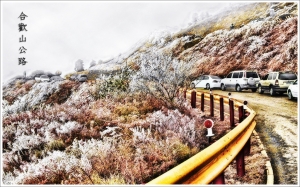 MY HDR @ 合歡山公路 (一張流)