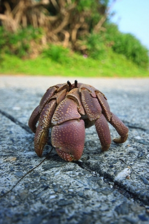 分享~沒事就拍微距!