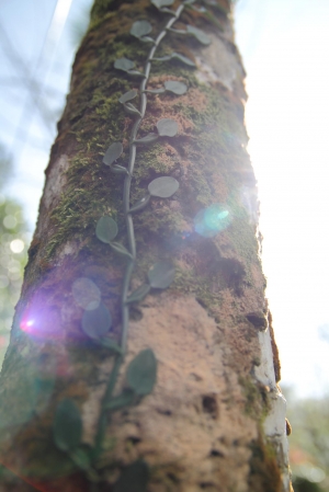 步步高升.......一張流