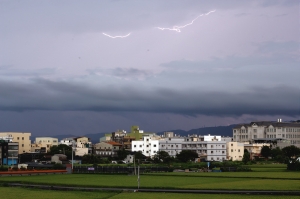 外面還在飄雨,不敢亂跑...