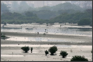 20140406 濕地風光