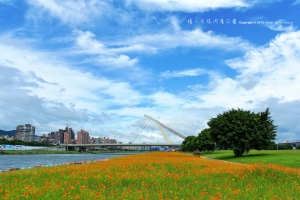 好天氣，河濱公園