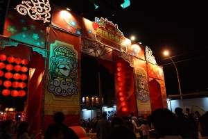 2009桃園好神燈會(拍的不好請見諒)
