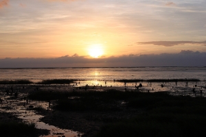 新竹風情海岸夕照