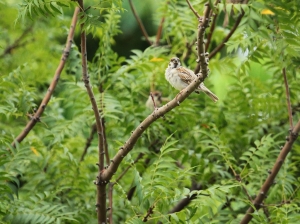 五臟俱全的生物~~~