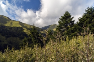 合歡山的初秋