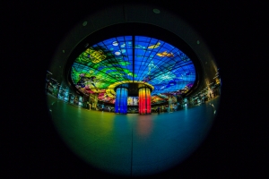 8mm全視界 - 全周穹頂