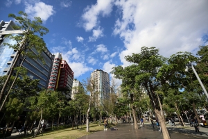 草悟道好天氣