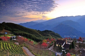 日出光耀山上人家