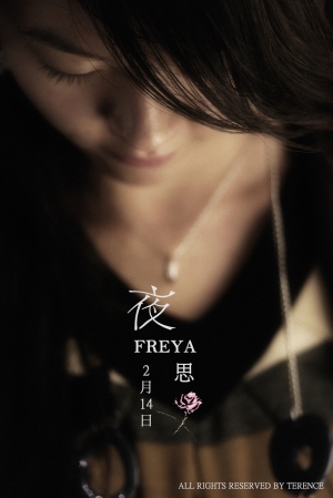 舊作--夜 思 2月14日--FREYA