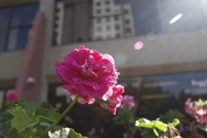風景生態雜拍