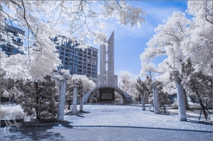 永和四號公園．R590&R720