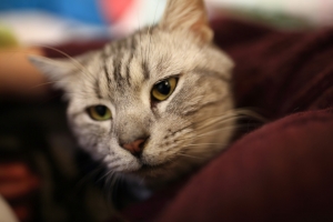 Hello my little sweet boy!