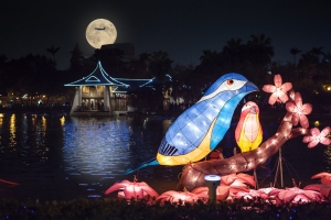 2015 台中燈會(台中公園) (一張流)