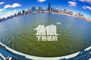 ::: NYC Under Fisheye 魚眼下的紐約 [二] by DV :::