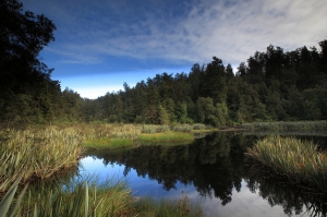 Lake matheson __ 紐西蘭