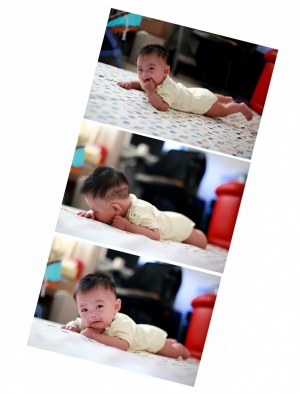 我家也有小傢伙