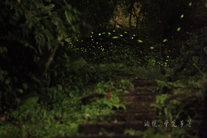 趕流行之螢光步道
