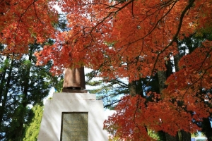 福壽山楓紅
