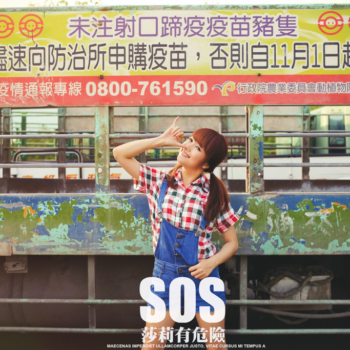 SOS 莎莉有危險!