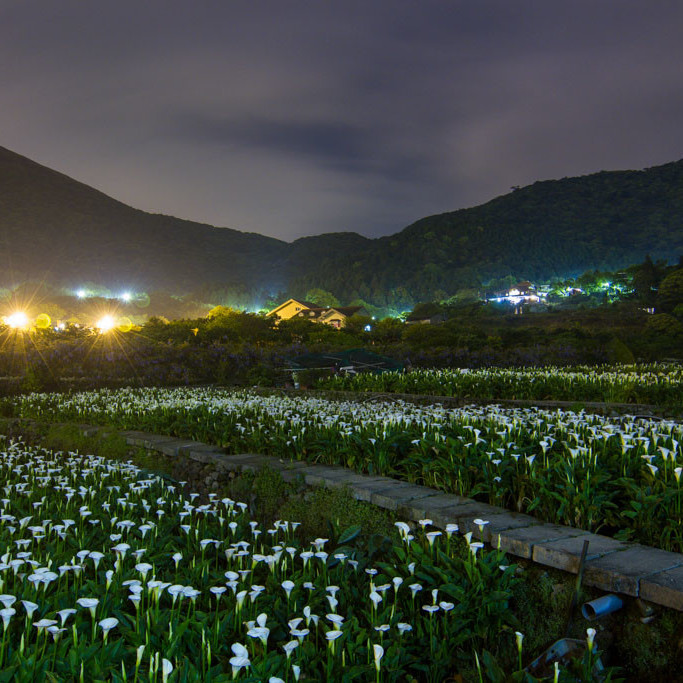 夜曝竹子湖