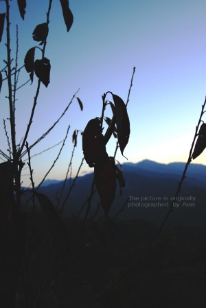 清境跨年去(圖多慎入)