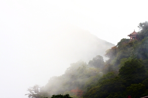 陽明山之---煙塵繚繞彩虹乍現(40D+Contax 50mm f1.4)