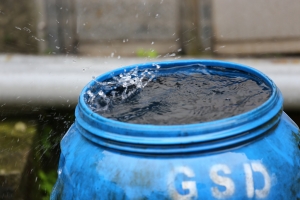 (6D)猴硐打貓、打小孩&nbsp;&nbsp; 小小白IS