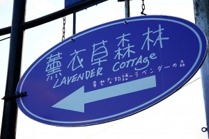 幸せな物語-ラベンダーの森
