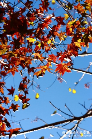 我在清境。天空藍