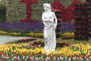 台中...中社光觀花市...鬱金香季