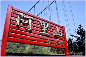 阿里山亂拍一通~