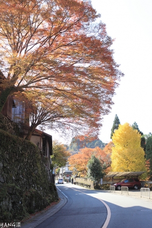 京都高雄高山寺