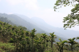 [500D] 嘉義大埔鄉　阿婆彎