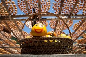 新埔~味衛佳~柿子軟Q了